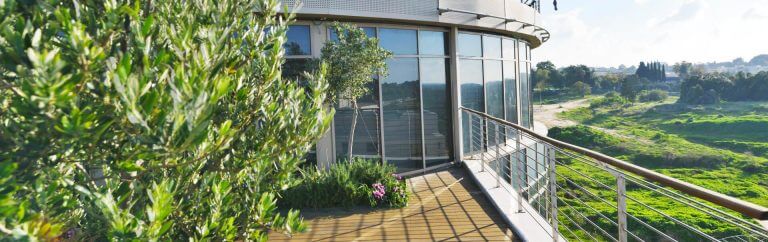 סניף המושבה - בית הורים בנס ציונה